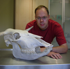 dr Pieter Cornillie