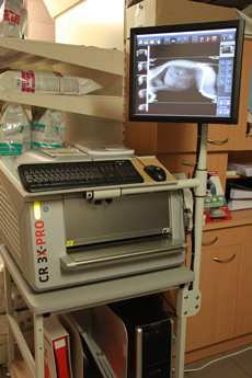 Digitale RX