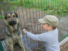 Omgang met kinderen